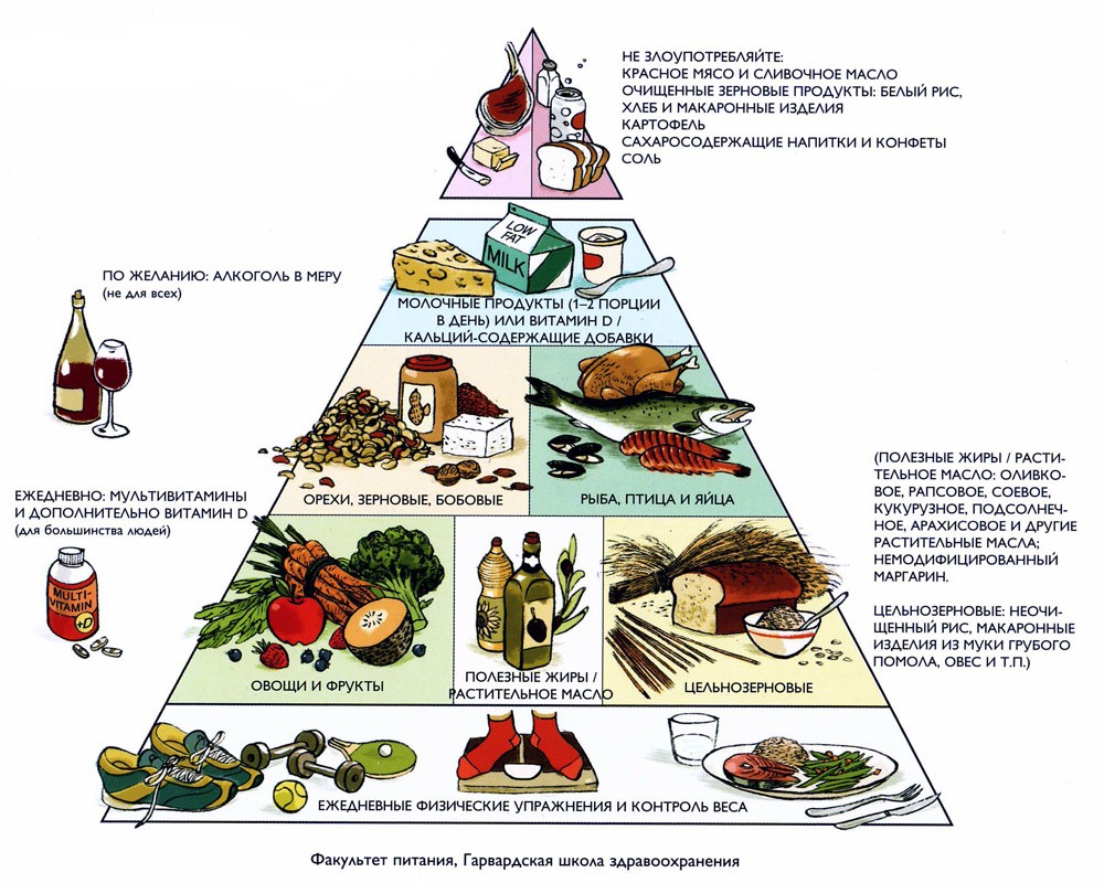 Пирамида рационального питания схема